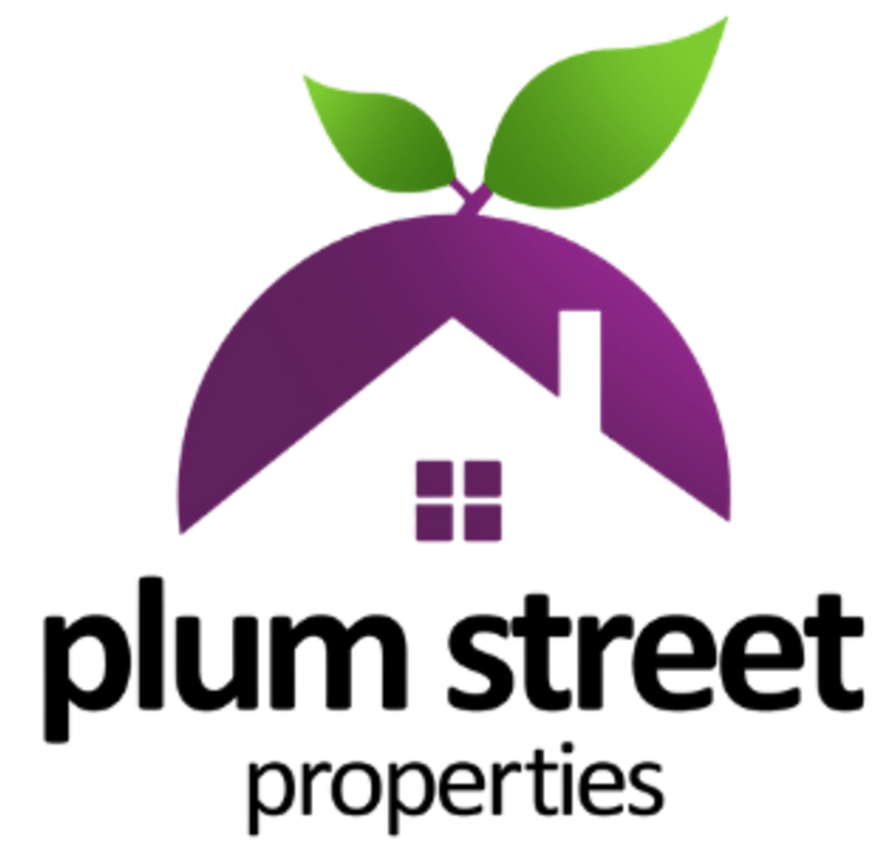 Plum Street Properties logo