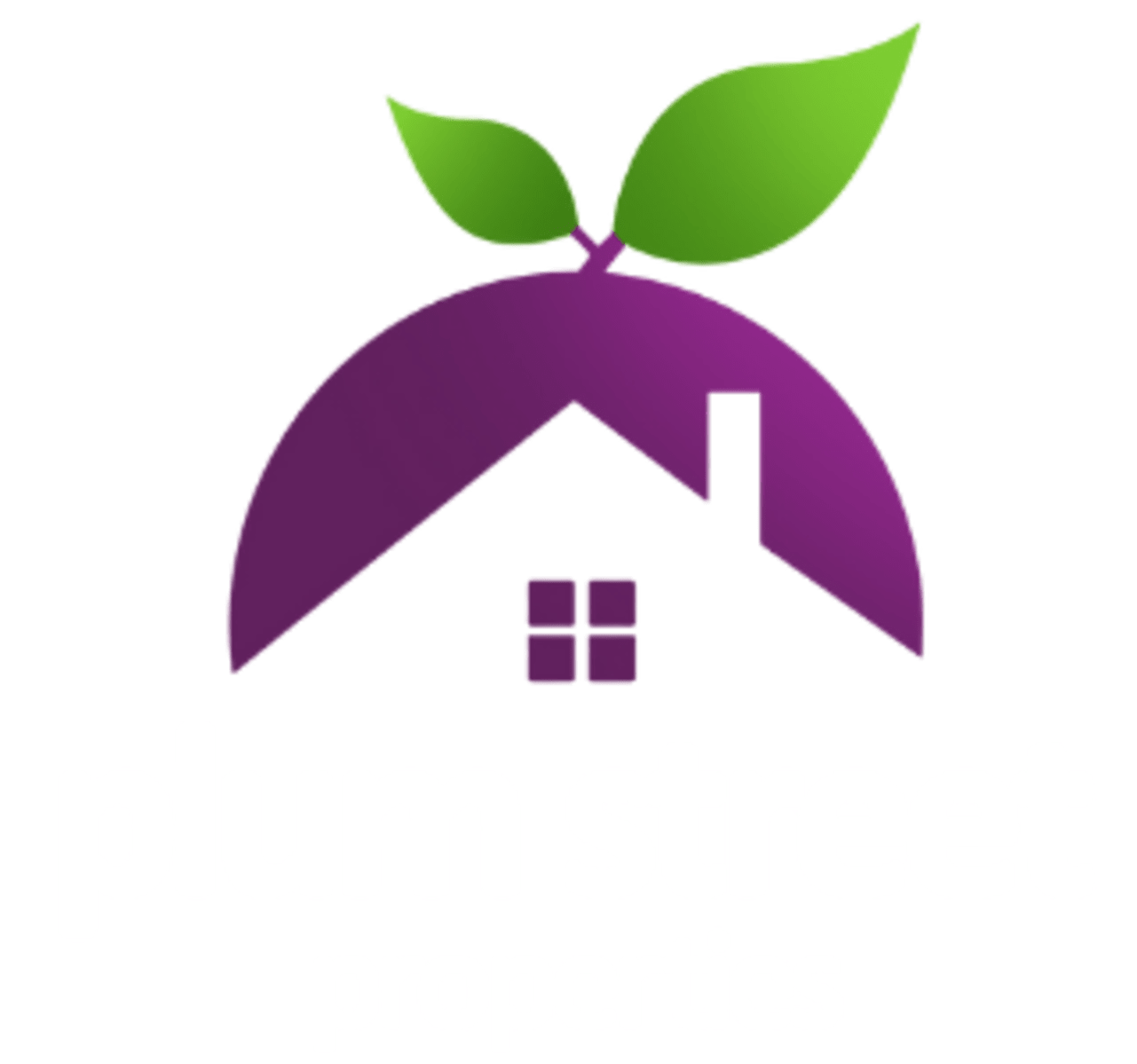 Plum Street Properties logo