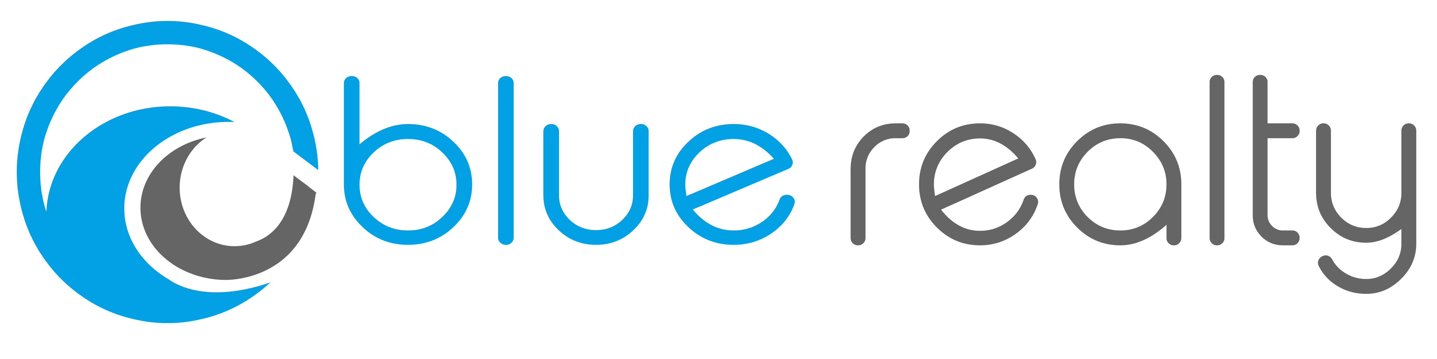 Steve Carlson Real Estate logo