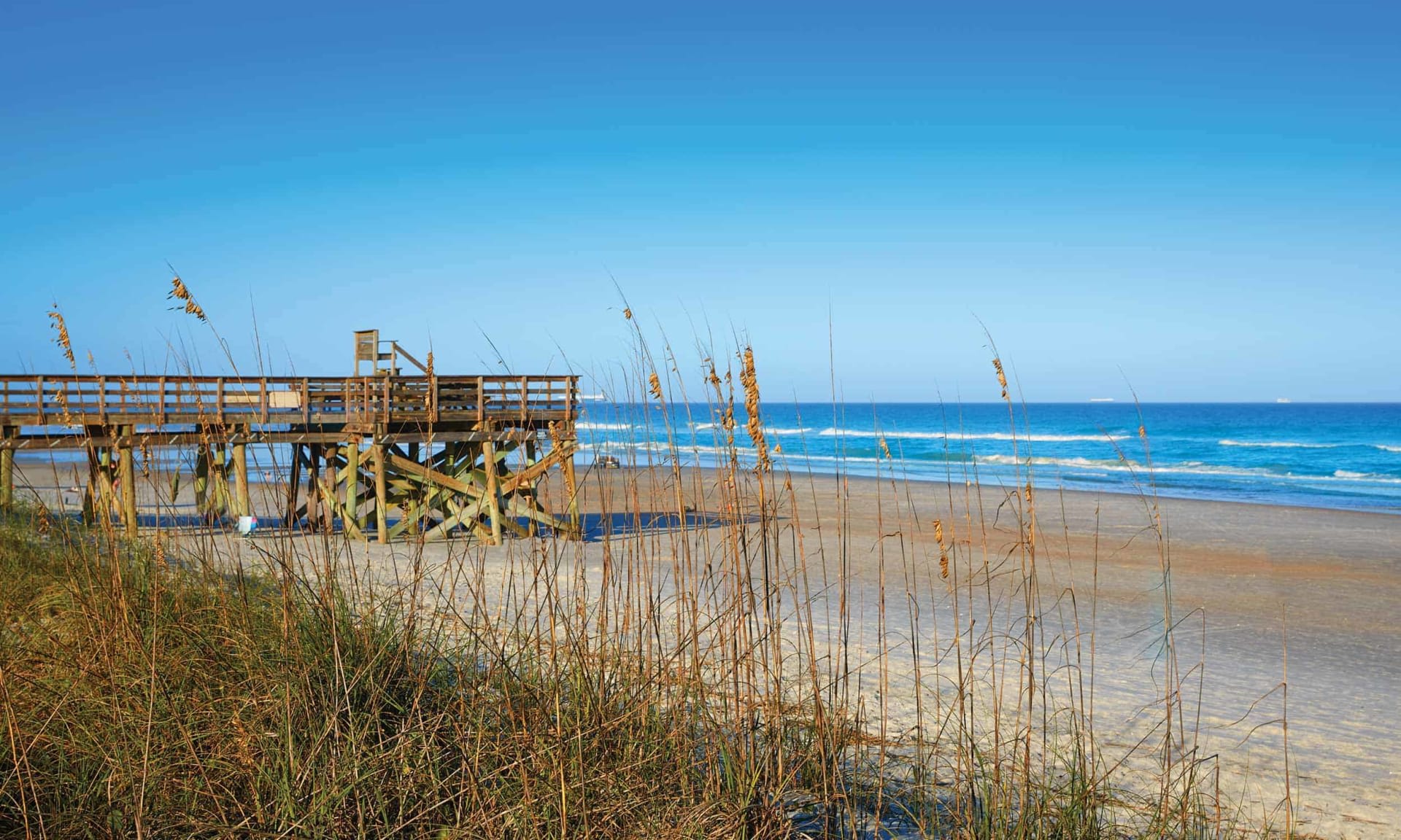 <p>Communities</p> inception-app-prod/MzU5YzU5YjAtMjkxZS00MDdlLTk0NDgtZmVkZmZlYTE2NzI2/content/2025/03/c2aba14def56f6148e637b4ec83ad725b4fb8e23.jpg