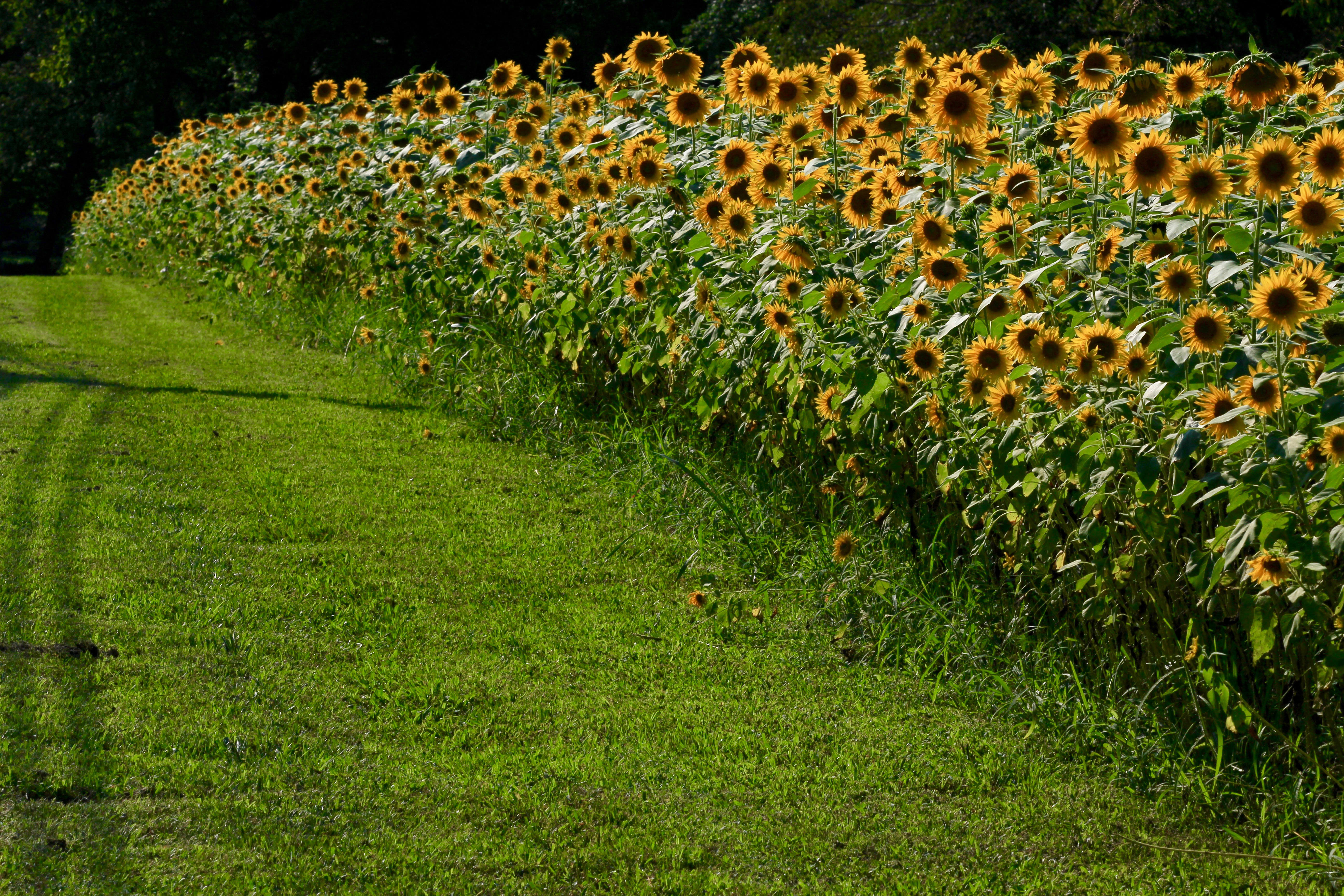 Brentwood inception-app-prod/MzVlM2Y5NzEtZTBjNC00ZjY3LWJkZjUtY2Q4YWUwNDI3ZmZj/content/2024/04/c67b39461b1c50adf74bceafb18b917daf7ea024.jpg