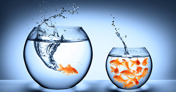 inception-app-prod/MzYzNDIzMTItYTcxYy00MTczLTk2ZDktZTBiYjVlZGMwZmFk/content/2017/01/KCM Myths-2.jpeg