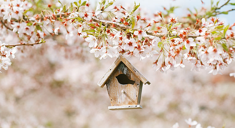 inception-app-prod/MzYzNDIzMTItYTcxYy00MTczLTk2ZDktZTBiYjVlZGMwZmFk/content/2019/03/3.31.19 April List Home-2.jpg