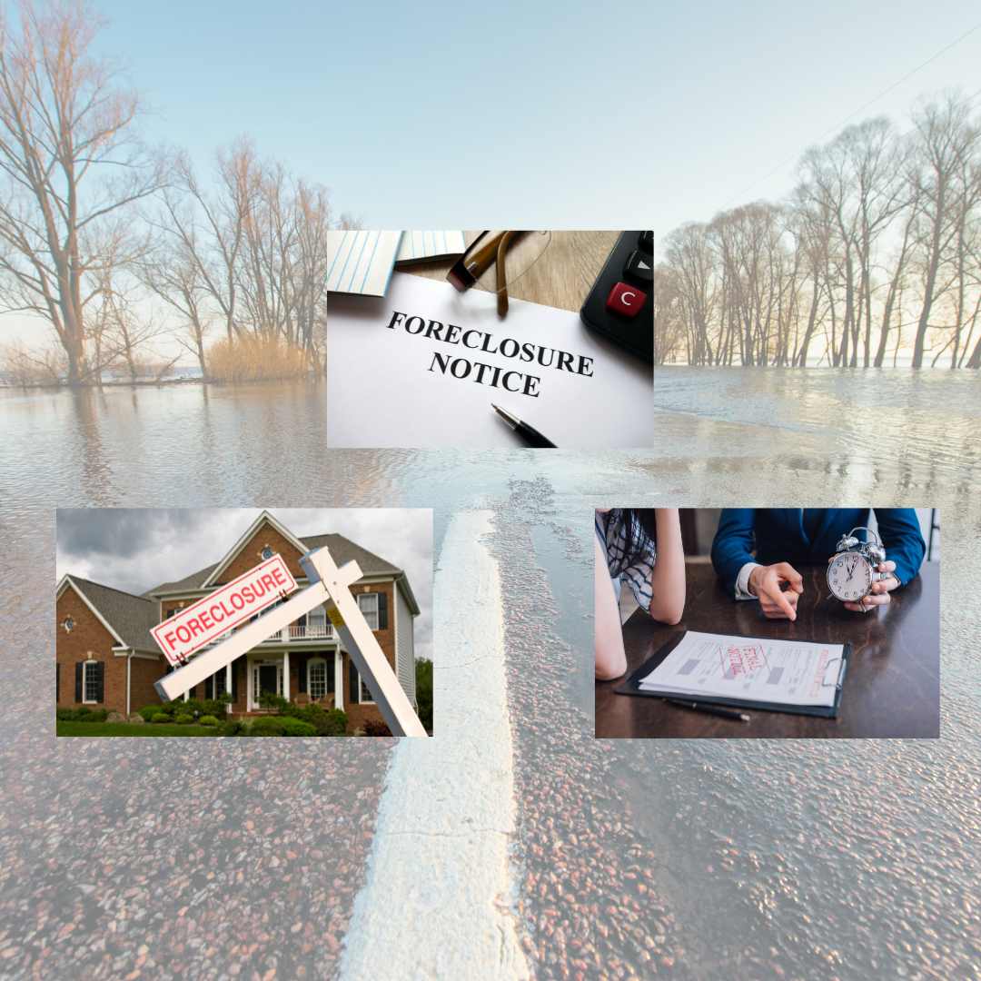 Don’t Expect a Flood of Foreclosures inception-app-prod/MzYzNDIzMTItYTcxYy00MTczLTk2ZDktZTBiYjVlZGMwZmFk/content/2023/08/a7d11f2776ed384b65287dd6cb917ab42237a764.jpg