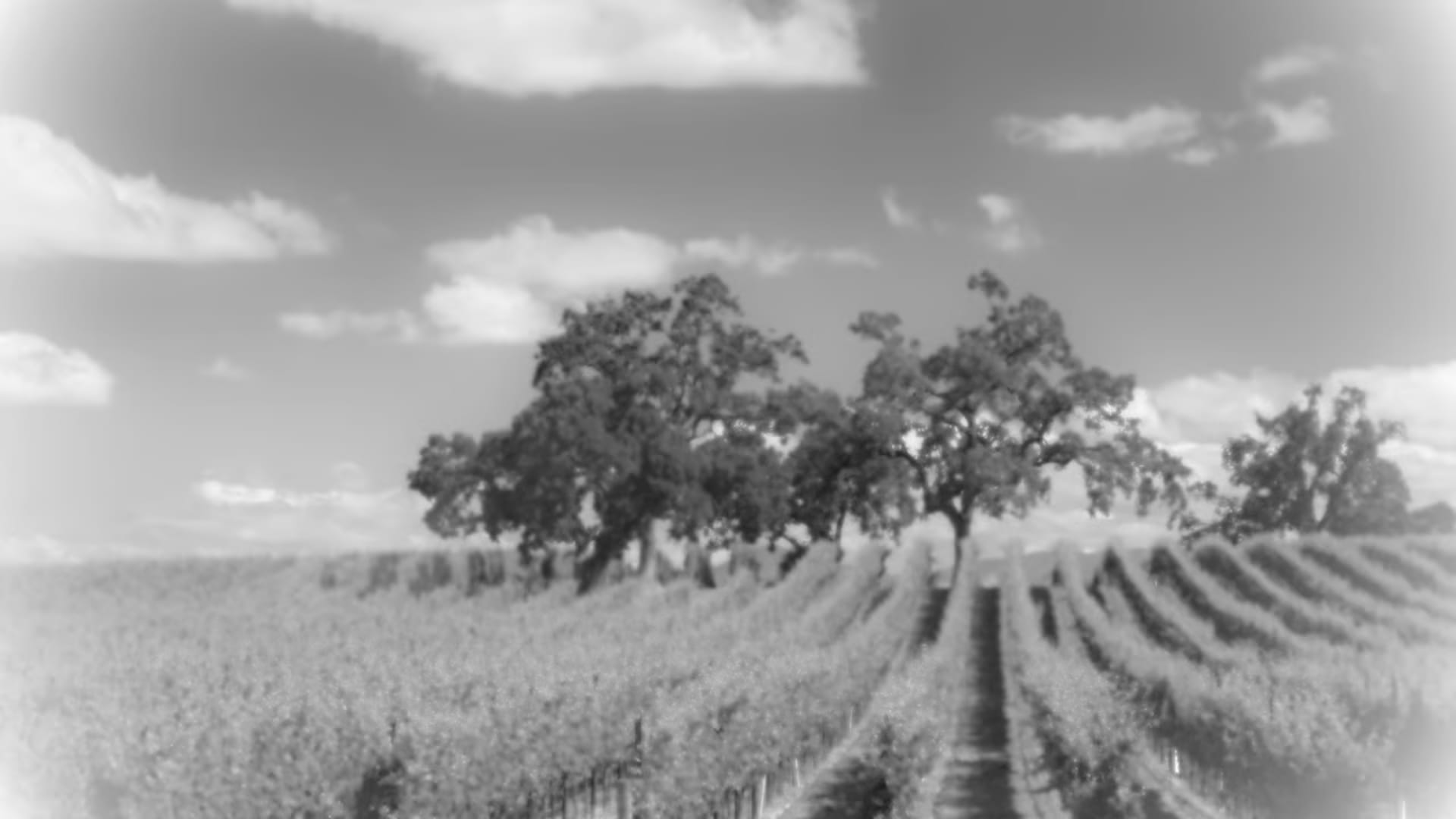 Sonoma and Marin Market Stats January 2026 inception-app-prod/MzcwZWFlNzItOTFhNi00ZjJhLWE4ODMtNjBlMDJkM2JmMGJi/content/2026/08/8cecebb9d9cd288685b0dbf4e81dd60dcbebdf40.png