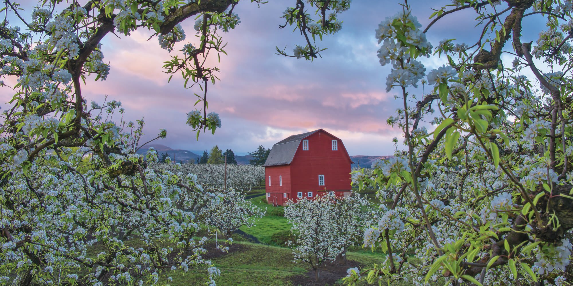 inception-app-prod/Mzg1YTZkMWItODA3Zi00NGQyLTk2NjMtMjY1MDMyYjlmOTZl/content/2017/03/farm santa clara.jpg