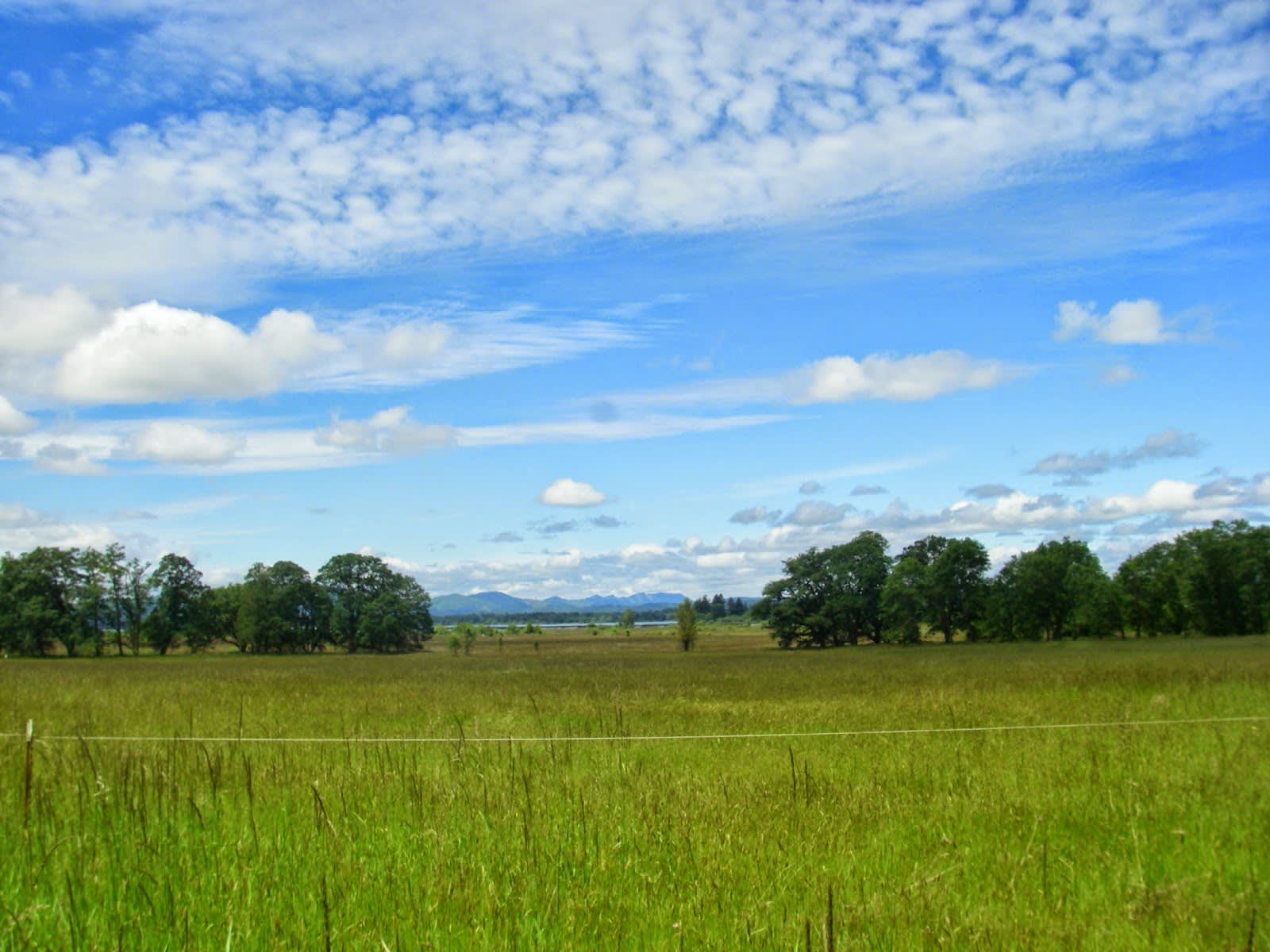 inception-app-prod/Mzg1YTZkMWItODA3Zi00NGQyLTk2NjMtMjY1MDMyYjlmOTZl/content/2017/03/west eugene.jpg