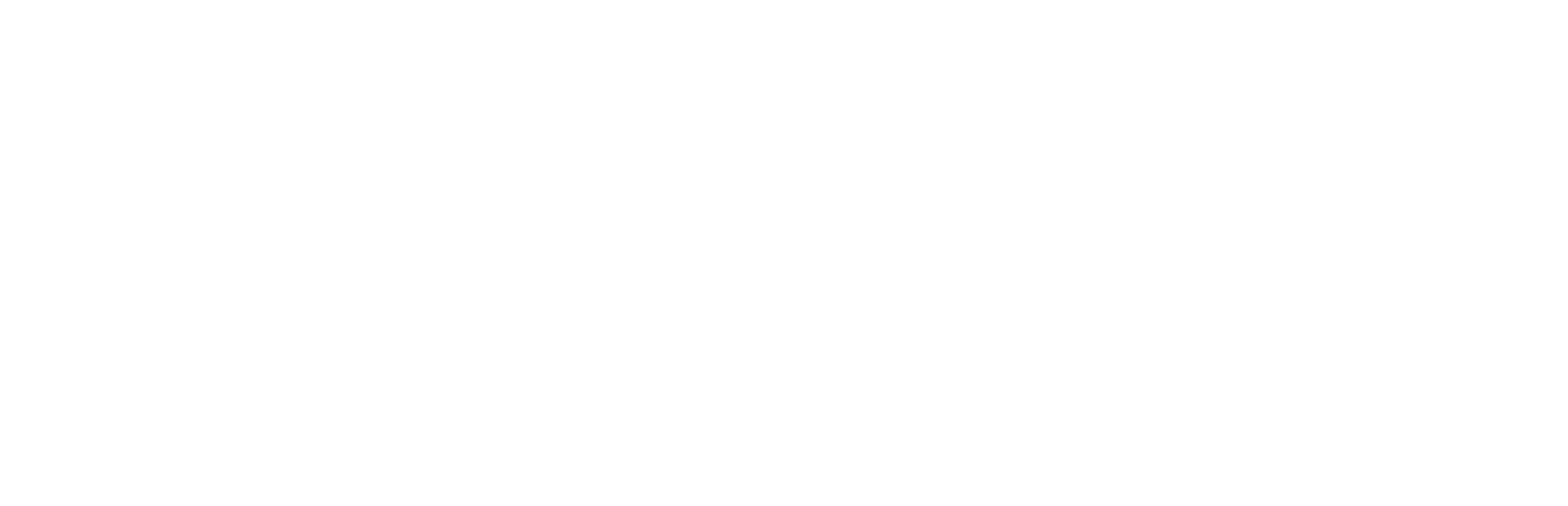 MSV Homes | Marcelino S. Viereck | Coldwell Banker Realty MA logo
