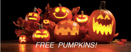 inception-app-prod/Mzk4NDIzMmQtZDE4NC00ZjQwLWIxZTctN2NiMjY4MTg4MDI3/content/2017/10/KW Free Pumpkins 2017.png