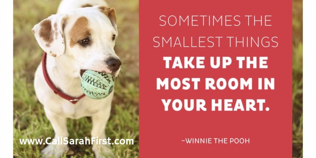 inception-app-prod/Mzk4NDIzMmQtZDE4NC00ZjQwLWIxZTctN2NiMjY4MTg4MDI3/content/2017/12/Smallest Things Winnie the Pooh -2.png