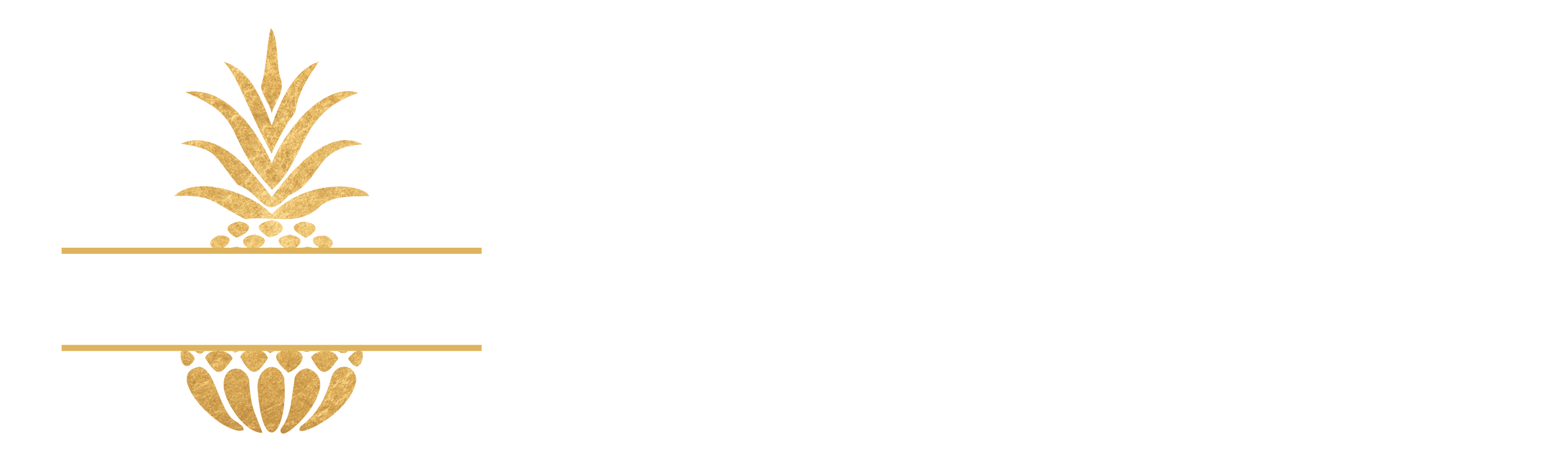 The O'Keeffe Team inception-app-prod/N2FmZGU0ZDAtNzgyZC00YzlkLThlNTEtMGQ5OWQ1MmYwNDgx/logo/2025/02/43db82da934f7466acaf617e5c0955b3a1d22c5d.png