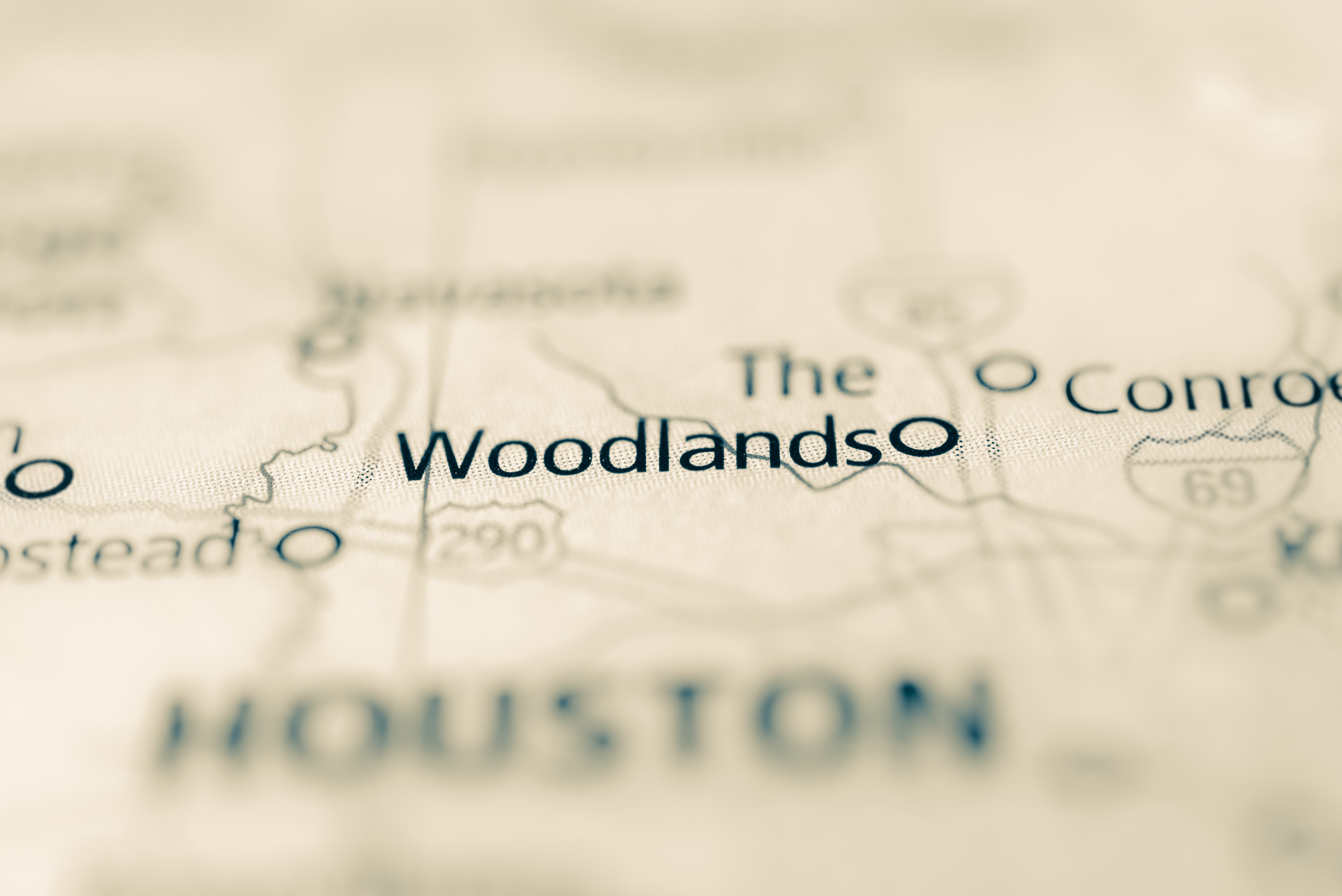 Woodland inception-app-prod/N2I2MjBlNDctNzQwZi00ODExLThkYjYtNTQ1NGYzZGVkNzUw/content/2023/02/8370a1a764b0d17dde94793726e1545629faab0a.jpg