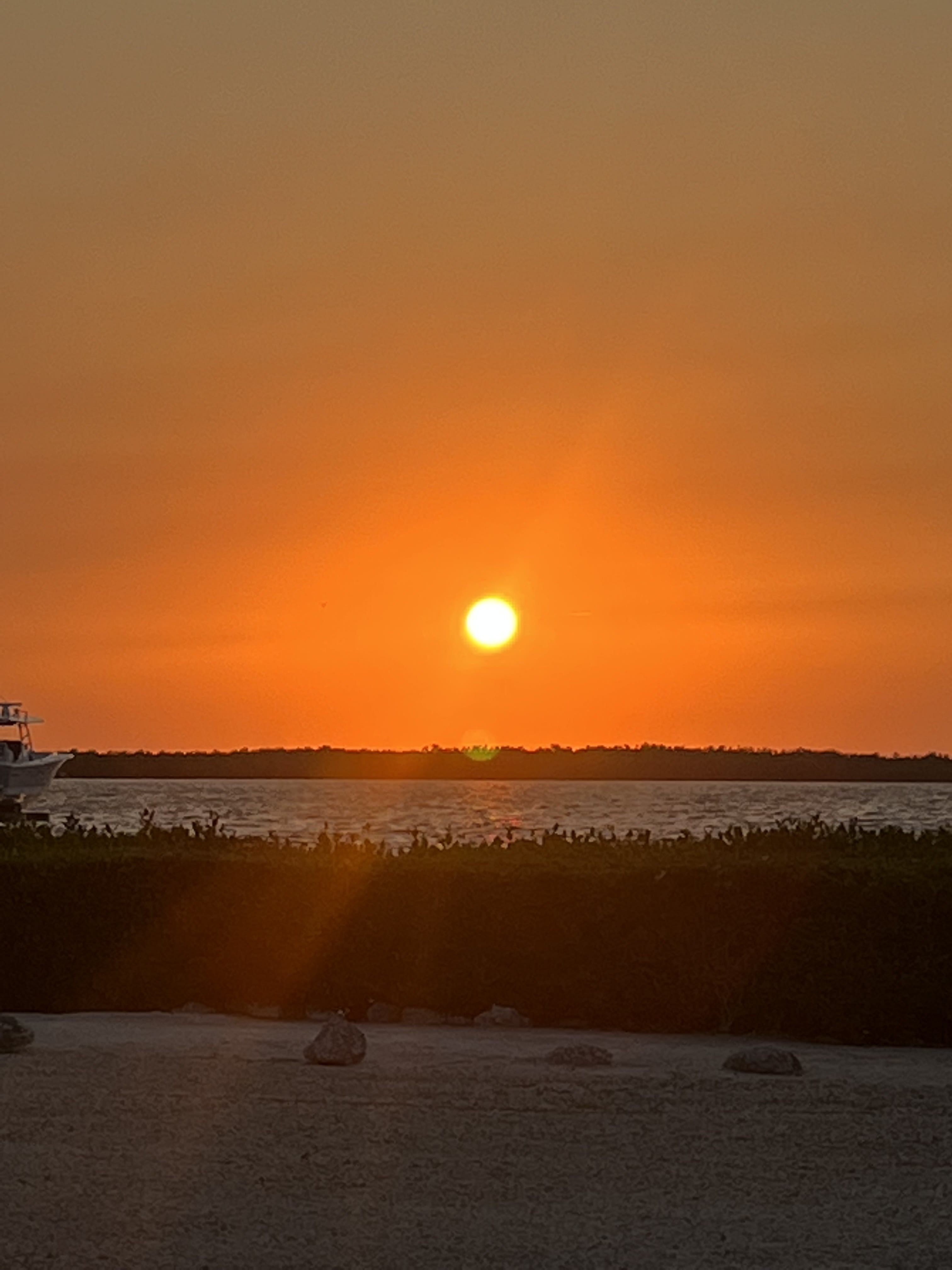 When Is the Best Time to Visit the Florida Keys? inception-app-prod/N2U3MjhjZWYtYWI1MC00YmVjLWJkZDMtODQxNDBjYWY4NDhj/content/2025/08/7985f66de0f54a805f5238cfe3214bf655c82e0d.jpg