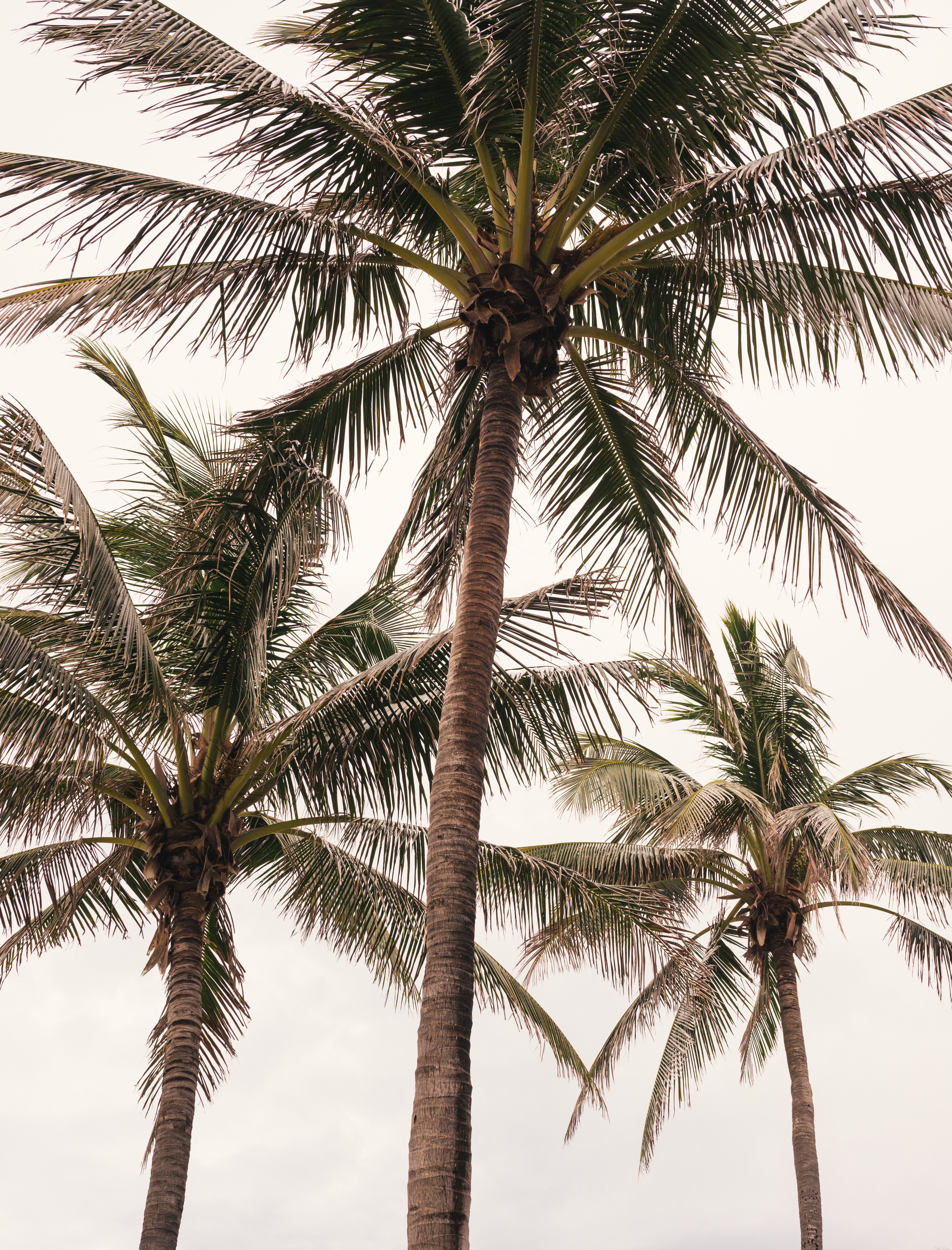 Manalapan inception-app-prod/N2UzZDljZWEtMmI5NS00Mjc5LWJhYWUtODcyMTJjZDAzODJj/content/2020/09/arnel-hasanovic-wnrymrhh9ss-unsplash-2.jpg