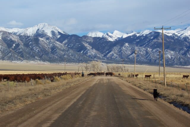 inception-app-prod/N2VkYTE3ZWEtNGY1Yy00OGZhLTllODktYzFiNTdiMTIxNGNl/favicon/2015/01/Big Boot Ranch pics0003.jpg