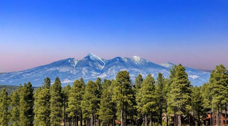 Lockett Ranches & Fort Valley inception-app-prod/N2VlMDY1MGYtOTBlYi00NGM5LWFlNWMtZjUxNjNhZWFiM2U5/content/2026/08/7bd72341e5c3145fa34350d1fe433e6391b32c94.jpg