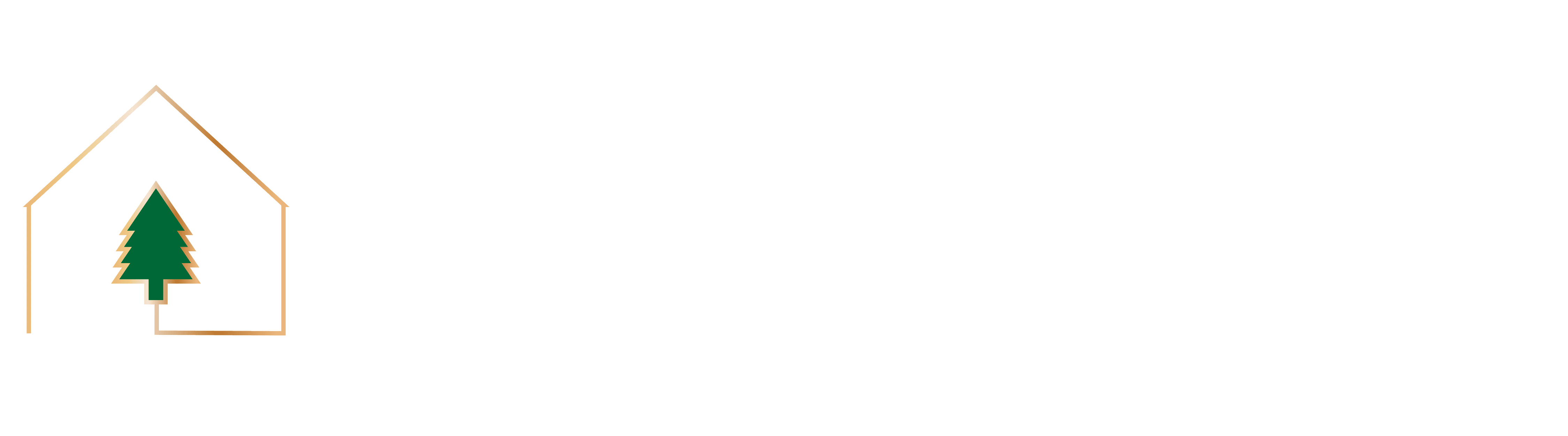 Blake Cain Flagstaff Real Estate - Luxury Realtor Blake Cain Flagstaff Real Estate - Luxury Realtor logo