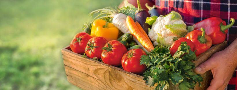 Farmers to Families Food Box inception-app-prod/N2VmMTZiYmQtZTIzOS00YjcwLTkxZGMtZjY2YjJkMDcyM2U3/content/2020/05/untitled-design-2.png