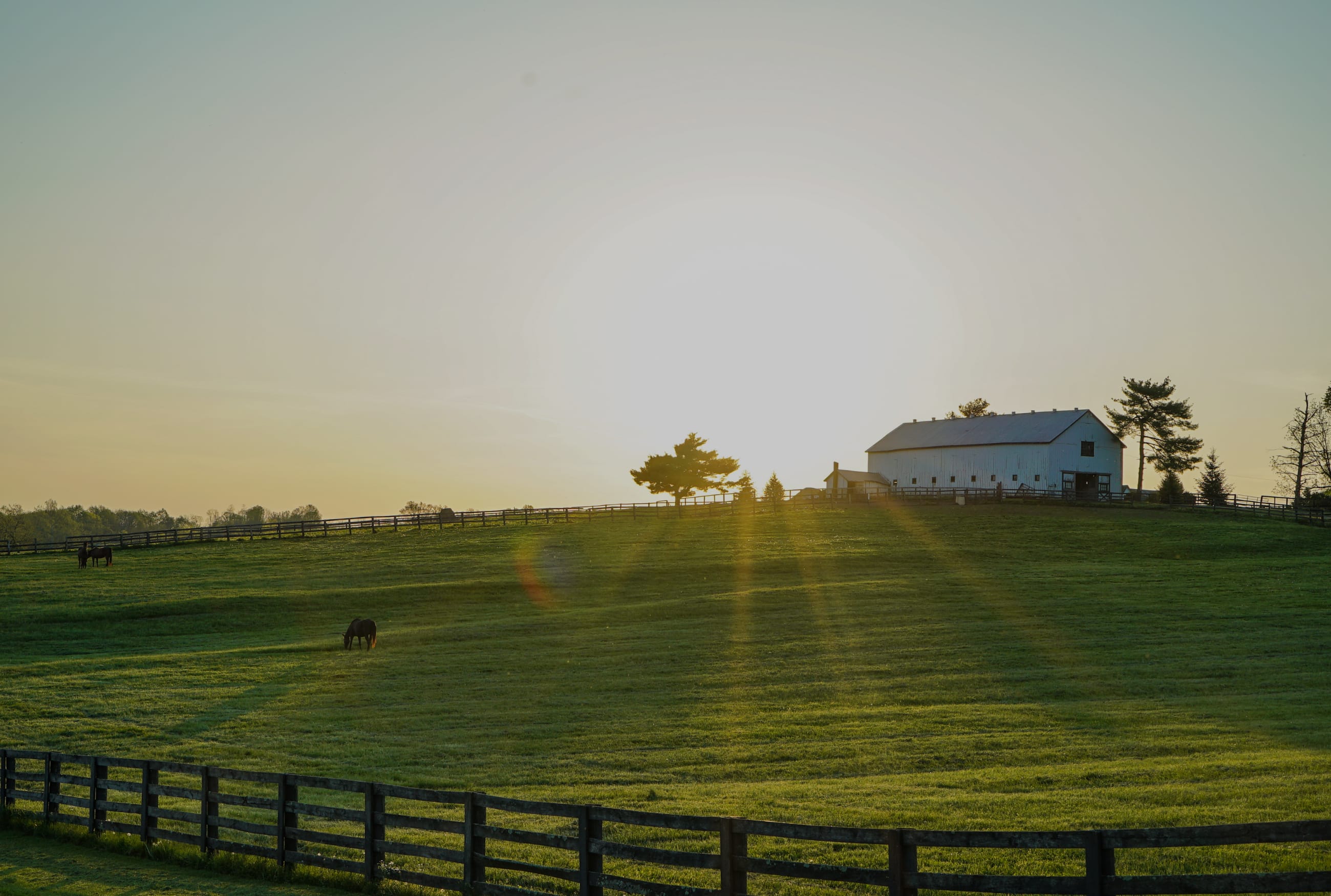 Discover the Charms of Central Kentucky: A Guide to Living in the Bluegrass State inception-app-prod/N2YzMDNkNjMtODU1ZS00NTFjLTgzZTUtZDUwNDlkY2NlN2U2/content/2023/11/f7db7c2ce09ead33660733feb6c60c7f6a9230ed.png