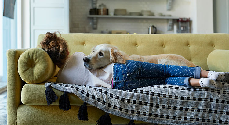 Why Pet-Friendly Homes Are in High Demand inception-app-prod/NDE5NjBkMjEtOWYzMy00OTYxLWIxOGMtZDQ5ZDliZTgzN2Mw/content/2019/04/Share-STM.jpg