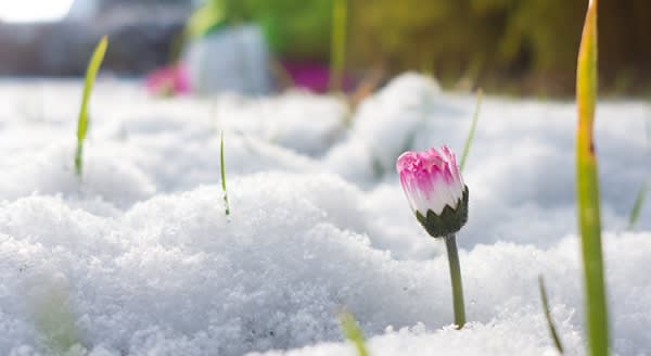 The New Spring Real Estate Market is Here. Are You Ready? inception-app-prod/NDE5NjBkMjEtOWYzMy00OTYxLWIxOGMtZDQ5ZDliZTgzN2Mw/content/2020/01/20200108-kcm-share-600x328.jpg