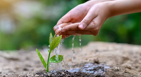 Guidance and Support Are Key When Buying Your First Home inception-app-prod/NDE5NjBkMjEtOWYzMy00OTYxLWIxOGMtZDQ5ZDliZTgzN2Mw/content/2020/07/20200728-kcm-share-600x328.jpg