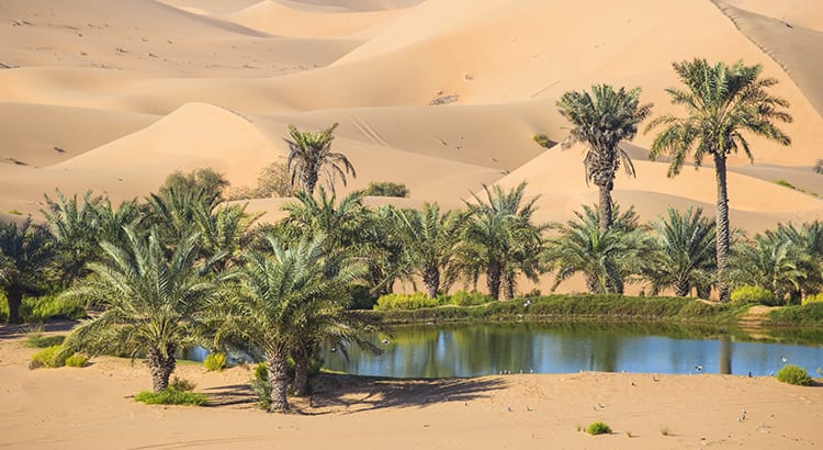 Your House Could Be the Oasis in an Inventory Desert inception-app-prod/NDE5NjBkMjEtOWYzMy00OTYxLWIxOGMtZDQ5ZDliZTgzN2Mw/content/2021/05/20210513-KCM-Share.jpeg