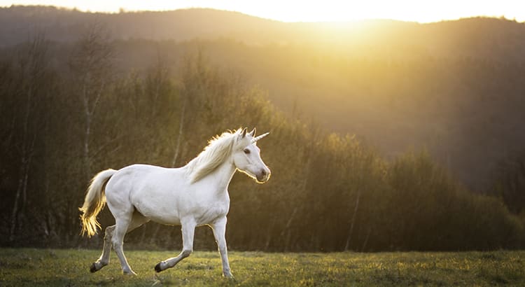 Today's Real Estate Market: The 'Unicorns' Have Galloped Off inception-app-prod/NDE5NjBkMjEtOWYzMy00OTYxLWIxOGMtZDQ5ZDliZTgzN2Mw/content/2023/06/1383b3690378a0d8406330745a5ab9f272967143.jpeg