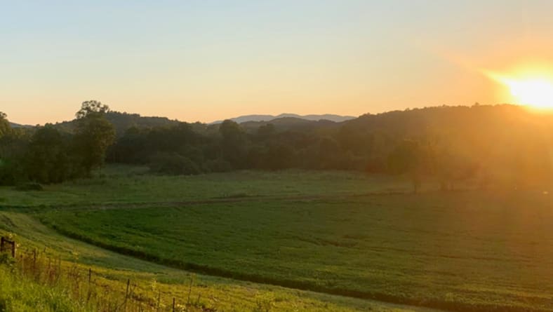 White County inception-app-prod/NDFhMGFiYjEtNDUxMS00MGRlLThjOGMtYTAxODZiNDMxZWMw/content/2020/10/jesseharkins4.png