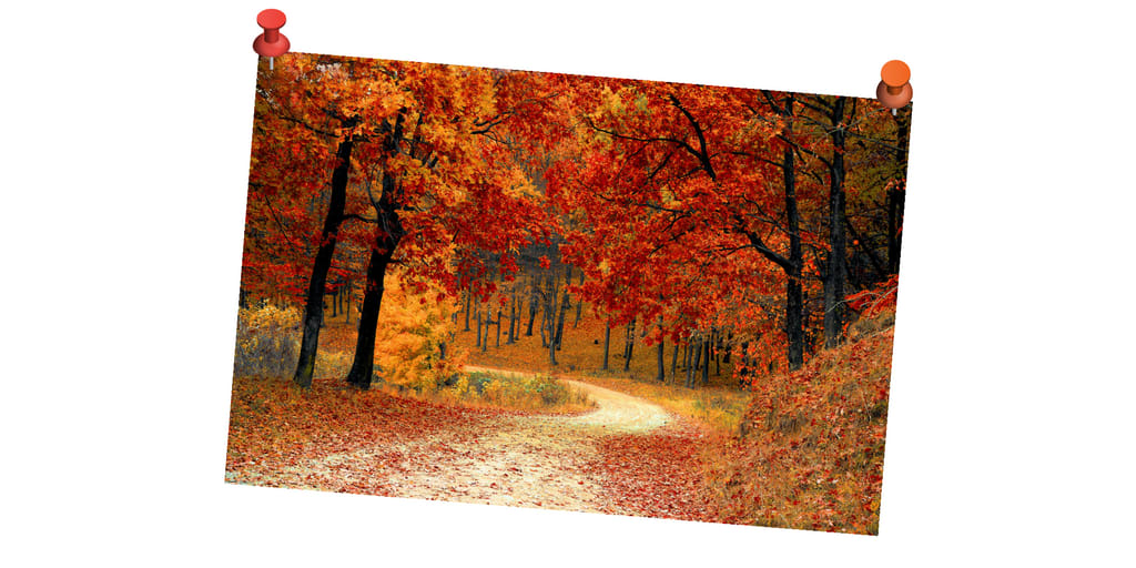 inception-app-prod/NDFiMWVlZTUtYmRmZS00NTYxLWJjOGYtNjE2MjFmZjk5NmRk/content/2016/09/Untitled design %2829%29.png