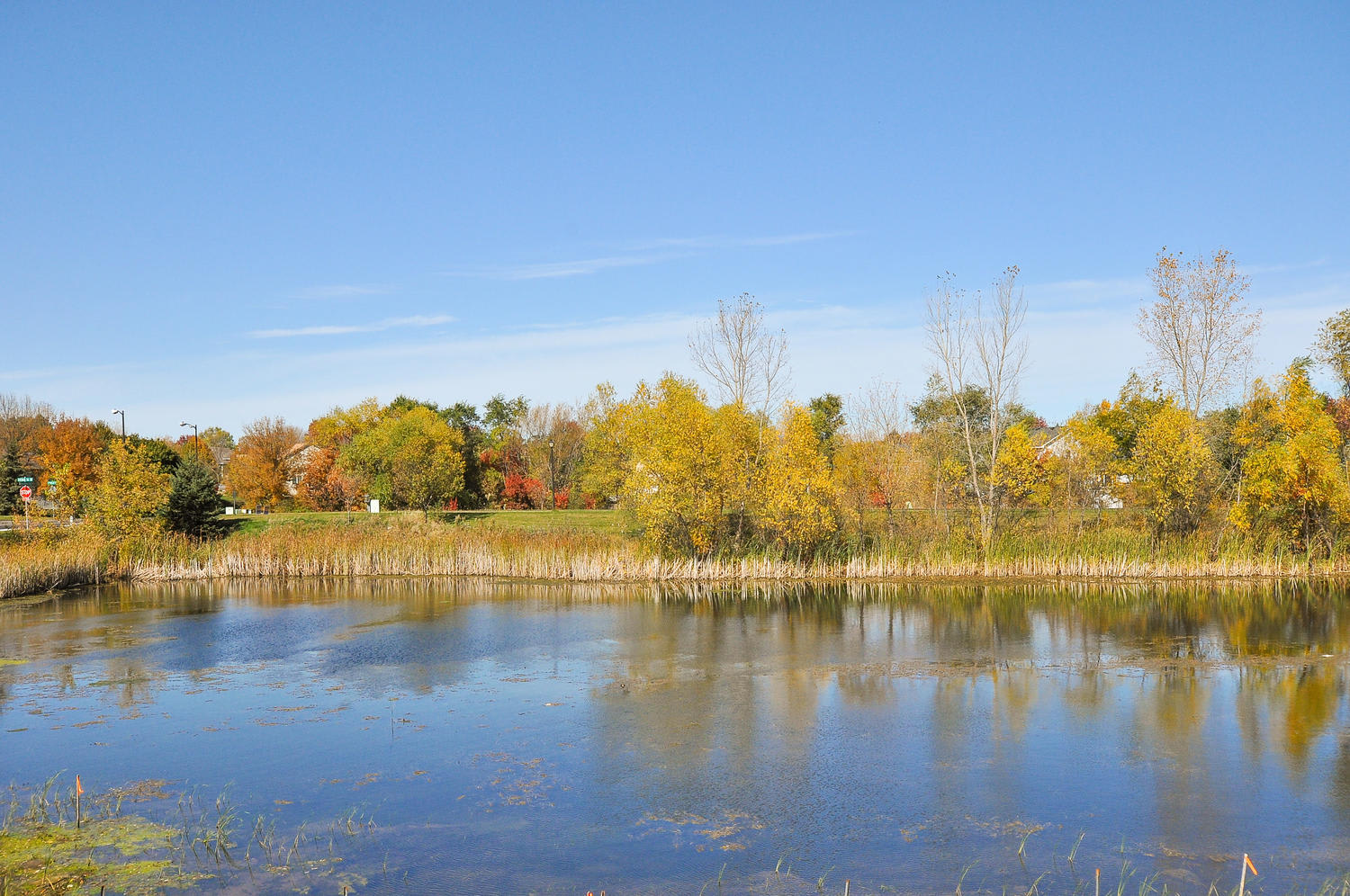 inception-app-prod/NDFiMWVlZTUtYmRmZS00NTYxLWJjOGYtNjE2MjFmZjk5NmRk/content/2017/01/11194 204th St W Lakeville MN-large-013-21-DSC 0480 DxO-1500x997-72dpi.jpg