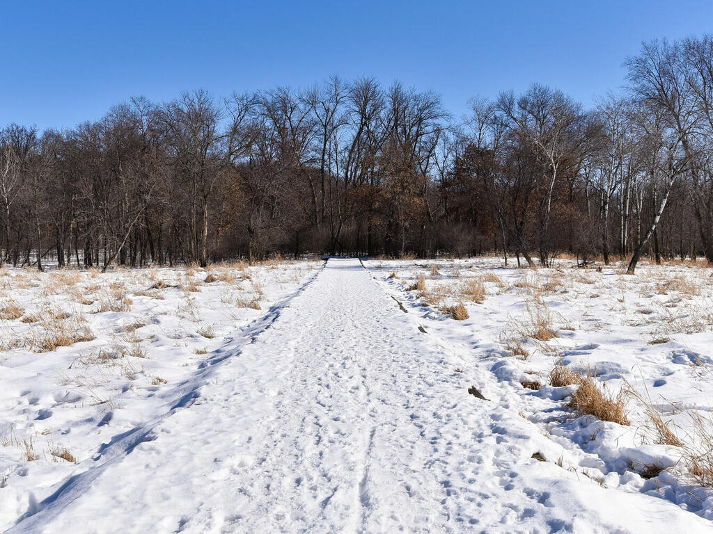 inception-app-prod/NDFiMWVlZTUtYmRmZS00NTYxLWJjOGYtNjE2MjFmZjk5NmRk/content/2021/04/2300 128th Court NE Blaine MN-030-027-128th Court NE30-MLS_Size%281%29.jpg