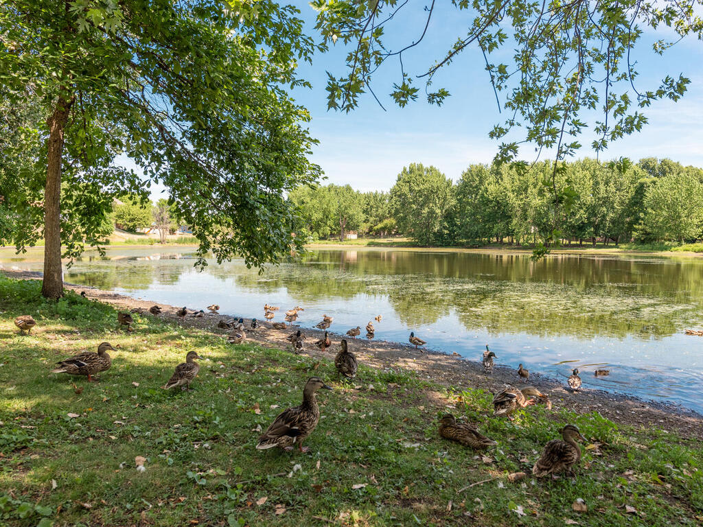 inception-app-prod/NDFiMWVlZTUtYmRmZS00NTYxLWJjOGYtNjE2MjFmZjk5NmRk/content/2021/07/14369 Estates Avenue Apple Valley MN 55124 USA-029-022-Diamond Path Park1-MLS_Size.jpg