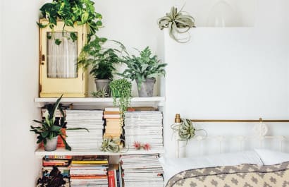 inception-app-prod/NDMzODQyNDYtNTYwZS00NjU5LThkMzYtZTJiMzFhYjFiYmU4/content/2018/10/170712-better-living-with-plants-bedroom-se-1205p_7f29320d9b28b04e1733a51ec5fd62b9.fit-1240w.jpg