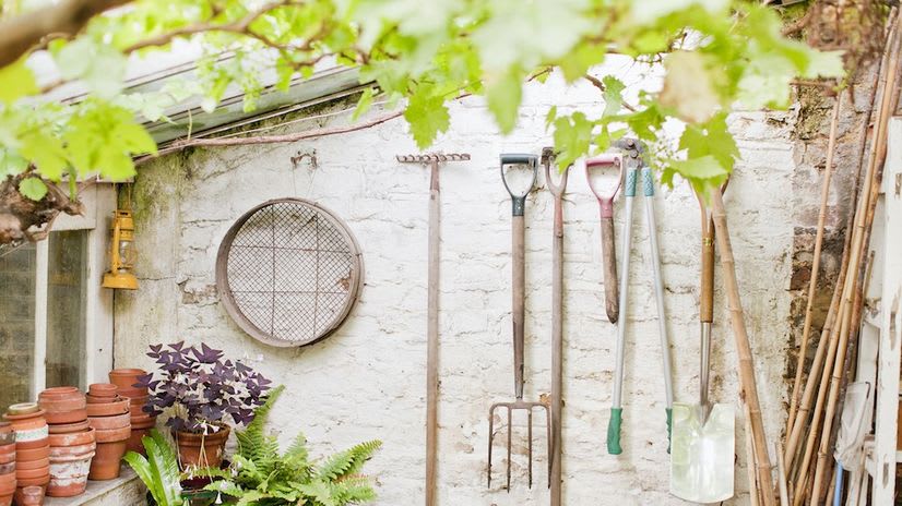 7 Smart Tips for Organizing Gardening Gear and Supplies This Spring inception-app-prod/NDMzODQyNDYtNTYwZS00NjU5LThkMzYtZTJiMzFhYjFiYmU4/content/2021/04/garden tools.jpg