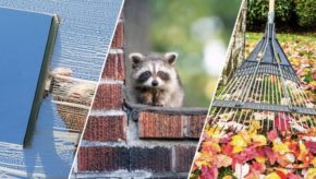 Selling Your Home? Don’t Neglect These 6 Maintenance Tasks—or Else inception-app-prod/NDMzODQyNDYtNTYwZS00NjU5LThkMzYtZTJiMzFhYjFiYmU4/content/2022/04/fb4801a47b349149ab0f40eab5df270cabccec3b.jpg