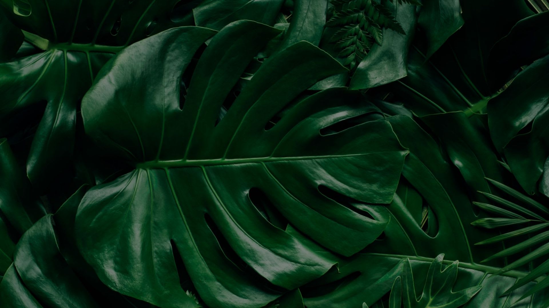 inception-app-prod/NDRhNTRkZjUtMGYzNC00NjhkLTg4OTgtOGY5ZmZhMDkxMjI2/content/2021/08/about_living_spree2.jpg