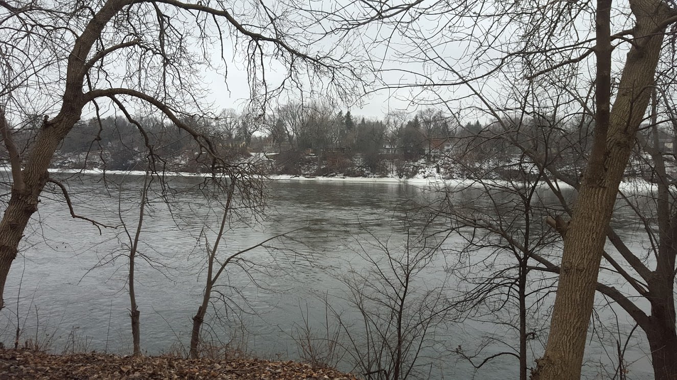 Fridley Homes For Sale Mississippi River in Fridley