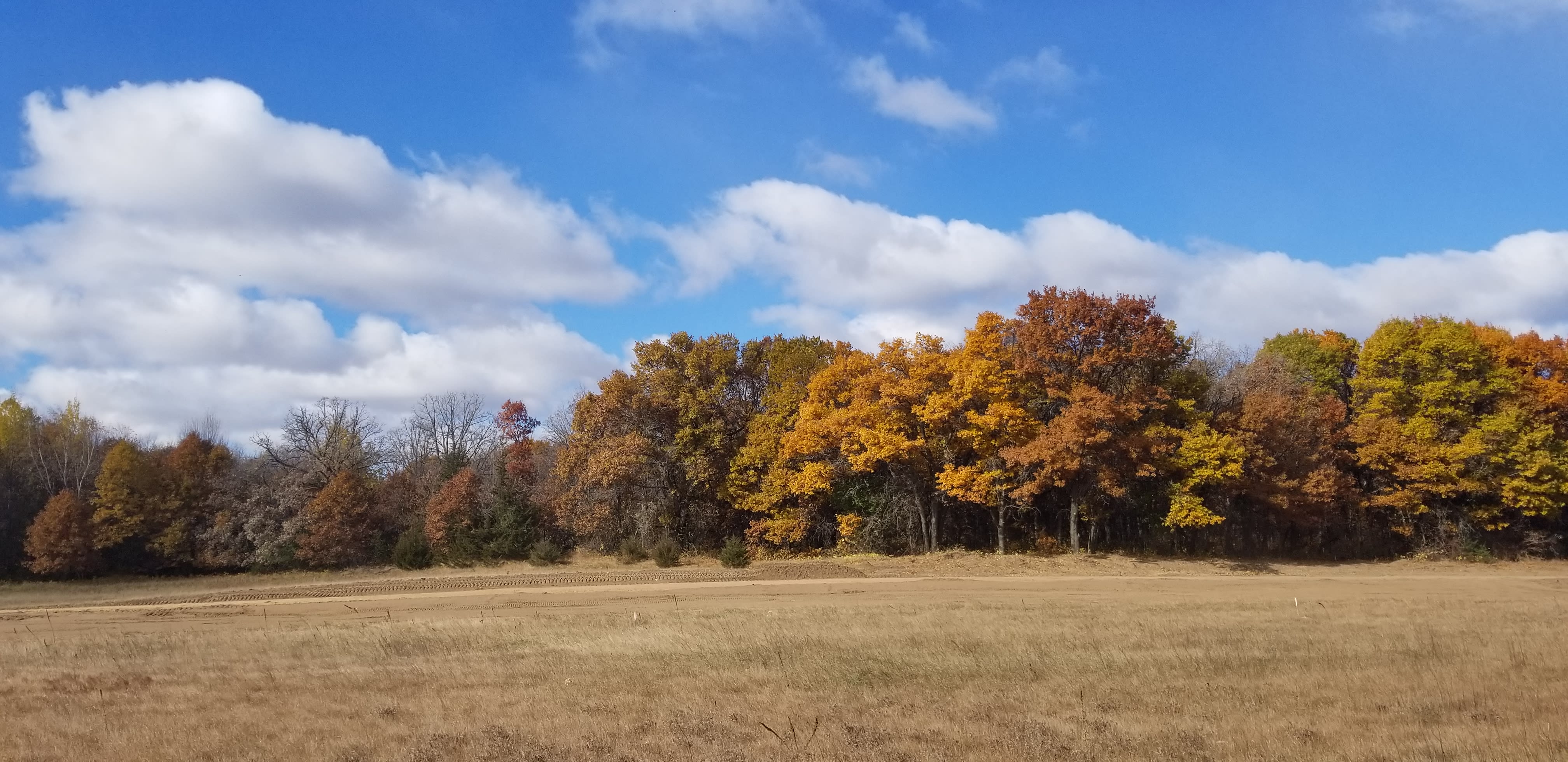 Acreage lots in the north metro Build your Sherburne county home here