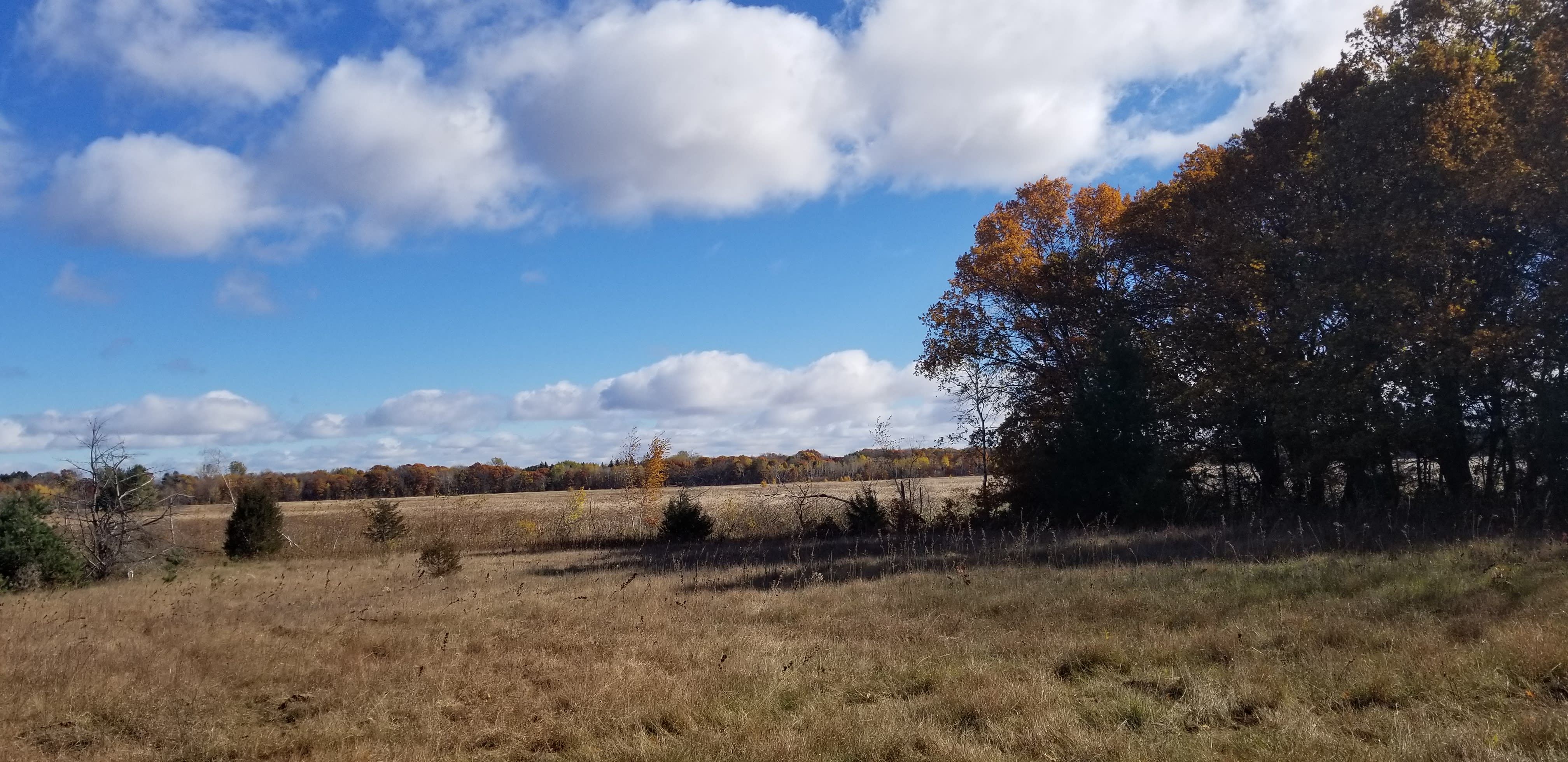 Acreage lots in the north metro Build your Isanti County home here in total seclusion