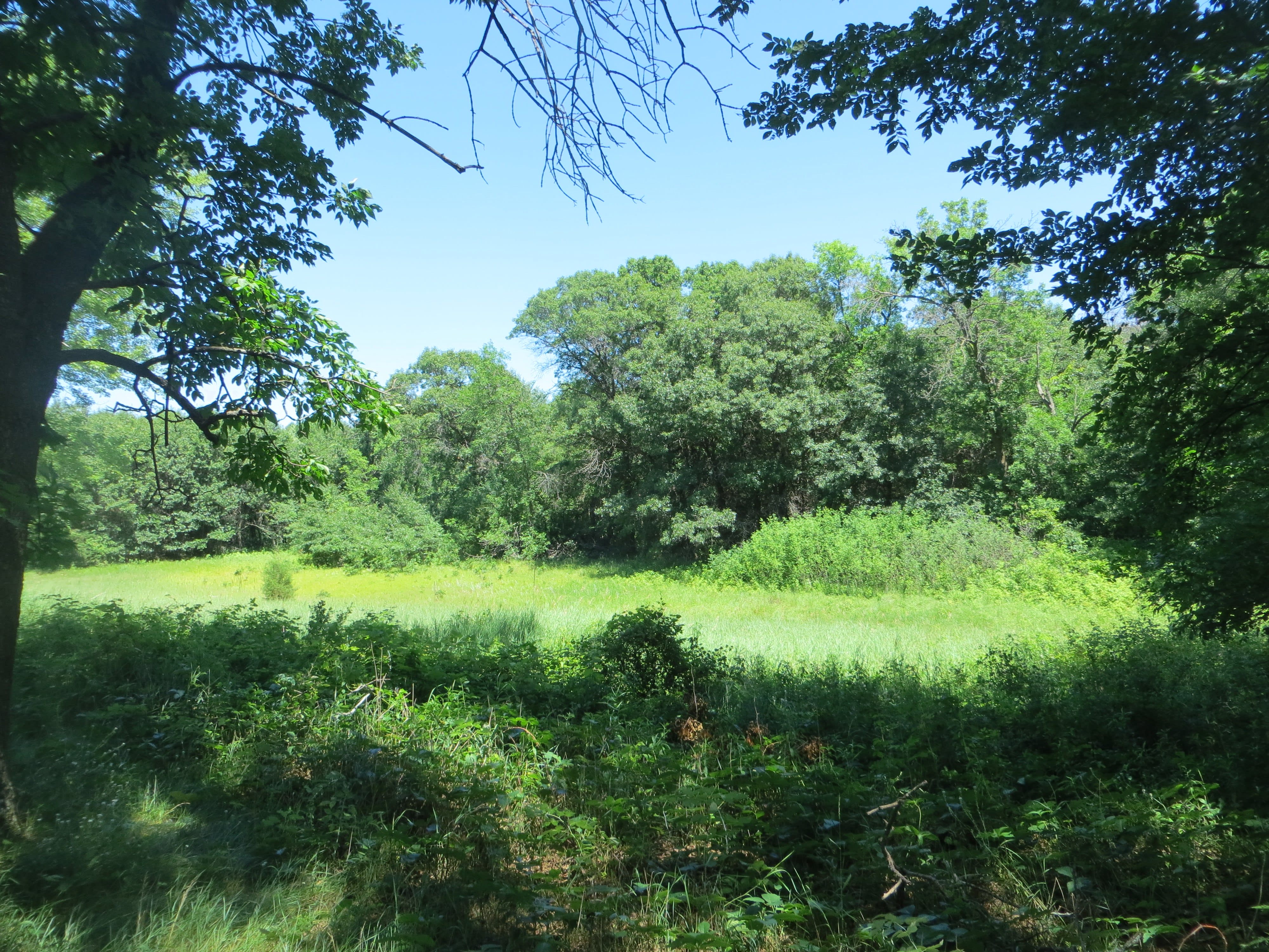 Build your Anoka County home here