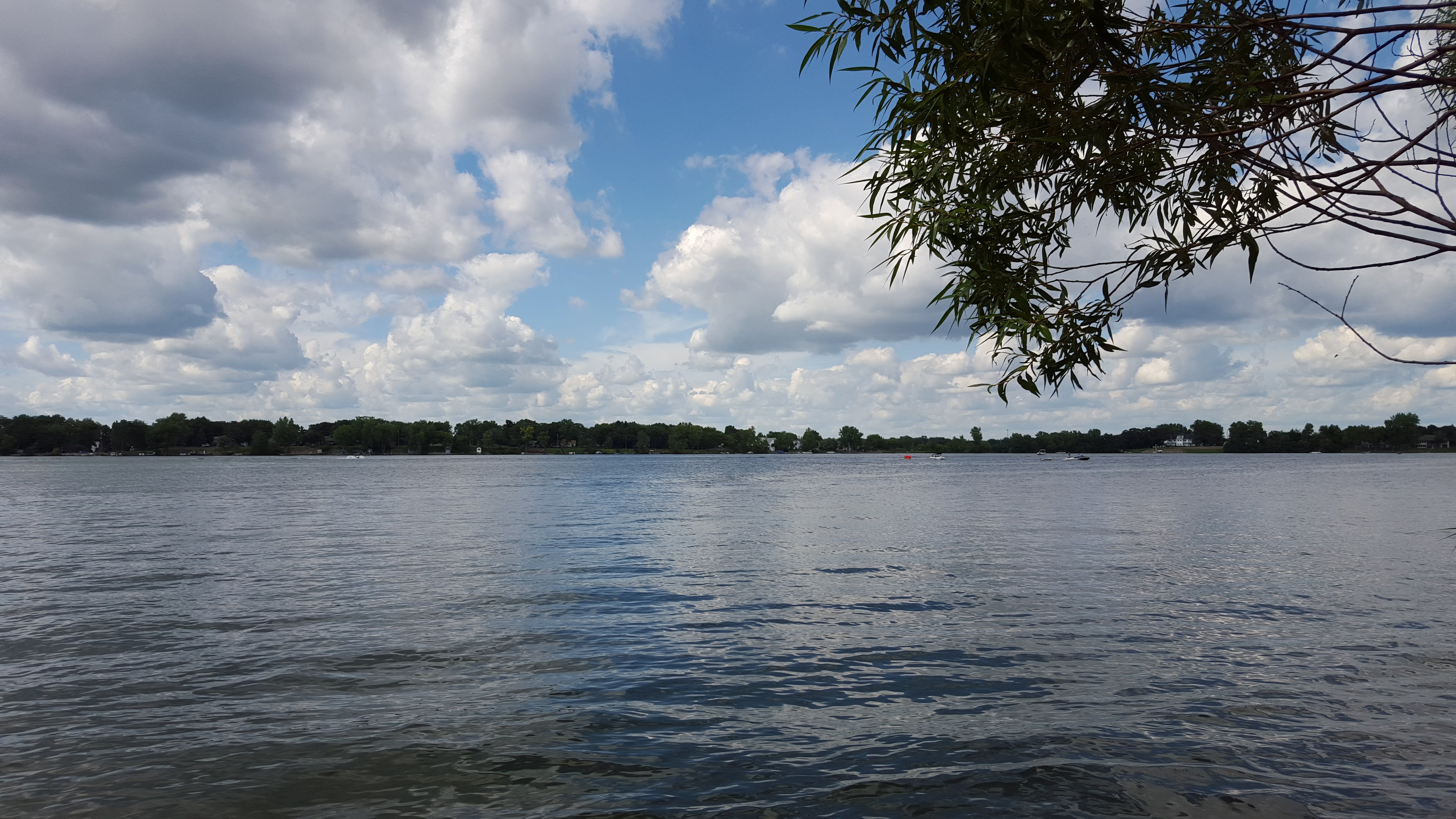 Big Lake homes for sale