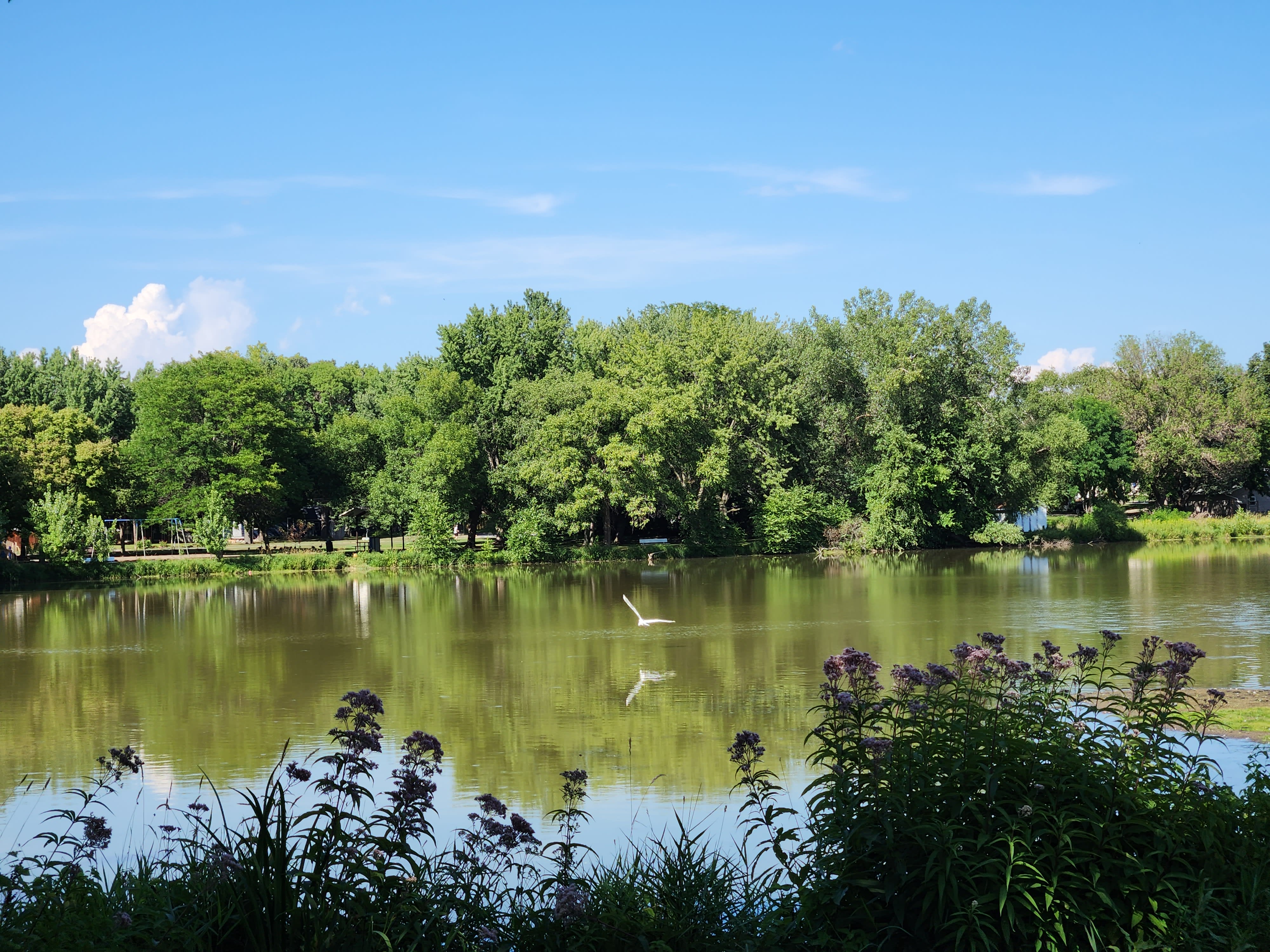 Fridley Homes For Sale inception-app-prod/NDRkOWQ0NmUtZTM1Yi00MzU1LTllMjctYzEzNzg4NDFiZGVi/content/2024/09/2170e17b33b4166f3e2d4aae8da87666d809de8f.jpg