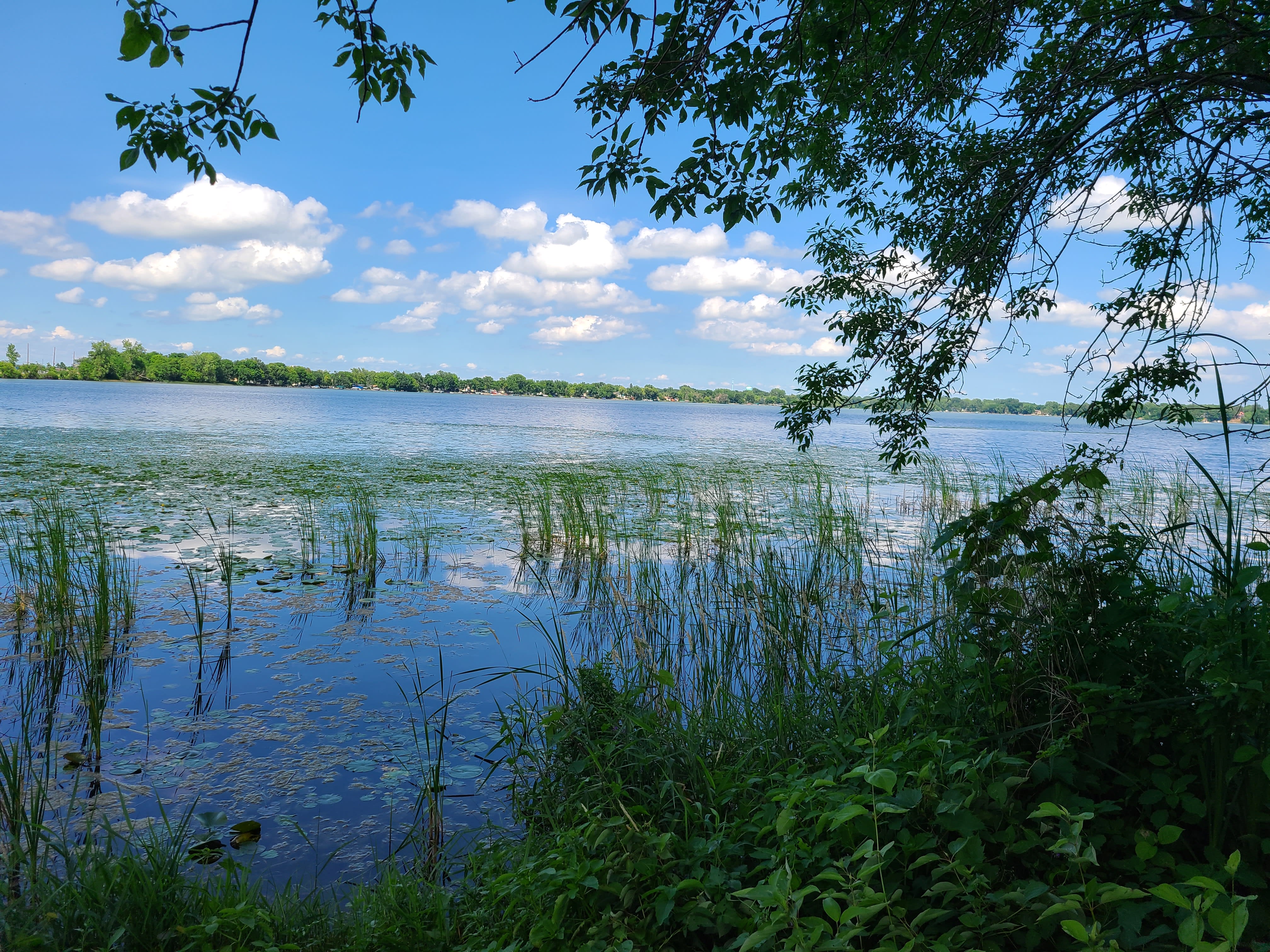 Clear Lake shoreline in Forest Lake MN