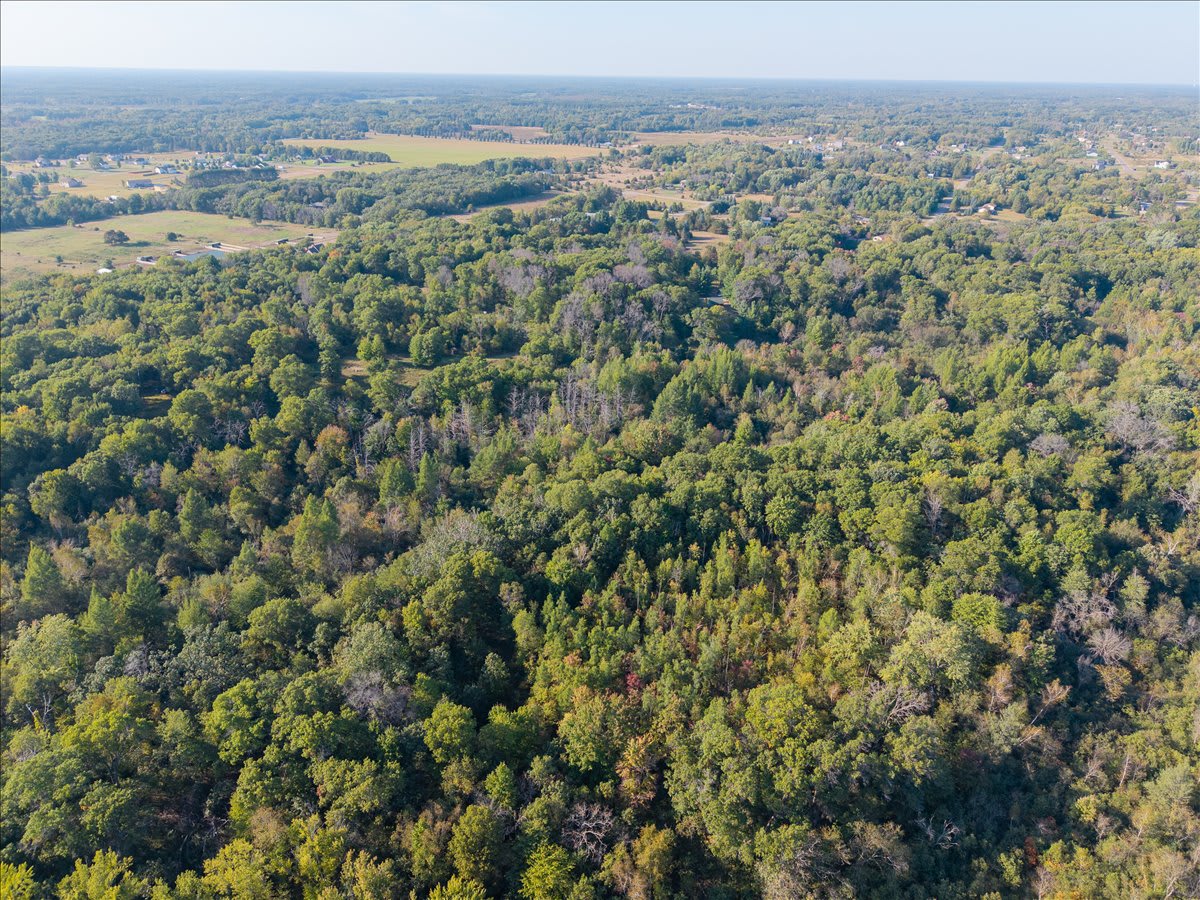 Acreage lots in the north metro Tranquil 10 acre lot in Oak Grove