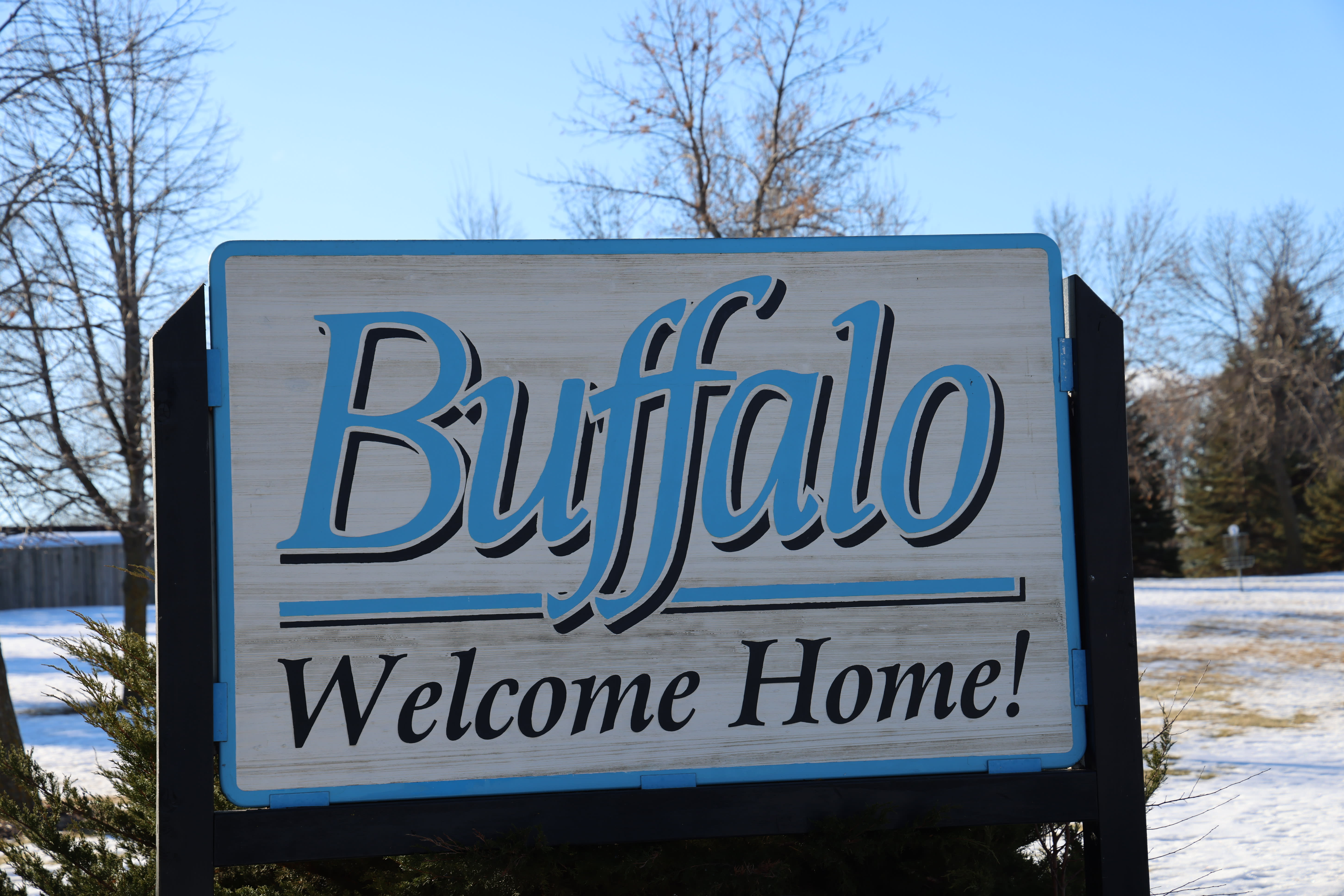 Buffalo Welcome home