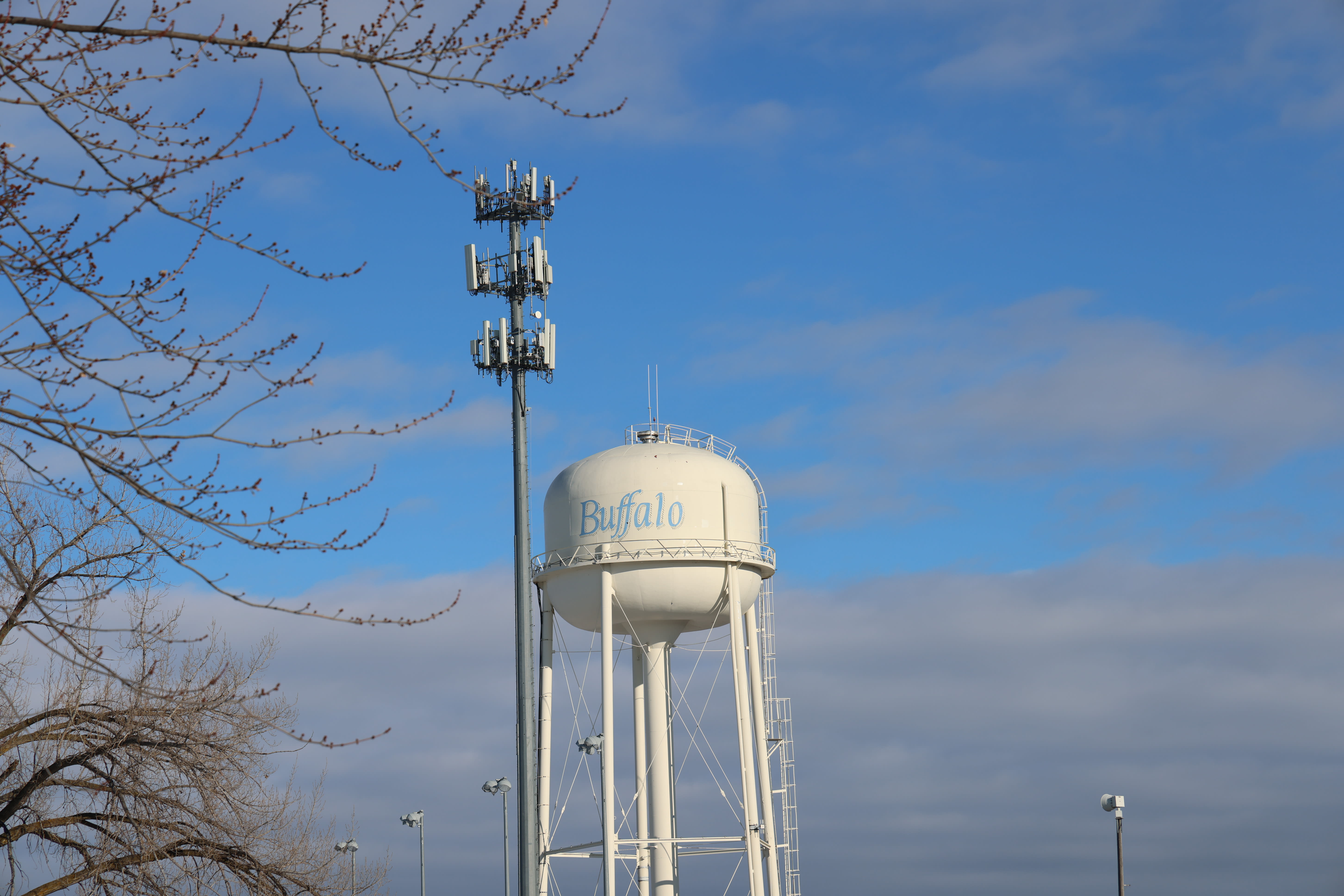 Buffalo Water Tower