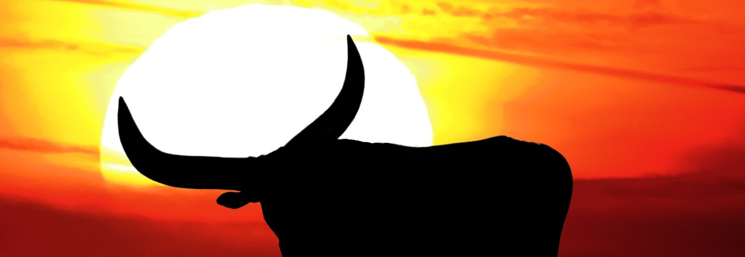 5 Sizzling Reasons to Buy a Home Now inception-app-prod/NDU0YTIwYWQtOGU0Yi00N2VmLWEwNzgtYWVhNGU0YzAxYjc1/content/2017/07/Slider-Texas generic - longhorn-3.jpg