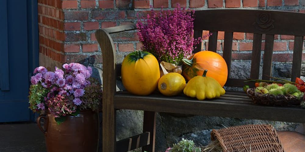 Preparing Your Home for a Fall Sale inception-app-prod/NDU0YTIwYWQtOGU0Yi00N2VmLWEwNzgtYWVhNGU0YzAxYjc1/content/2017/09/Autumn-slider-1000x500.jpg