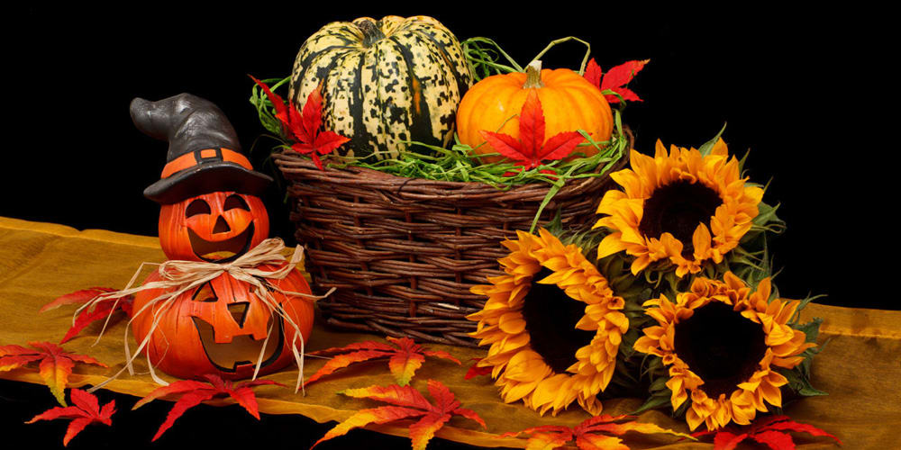 inception-app-prod/NDU0YTIwYWQtOGU0Yi00N2VmLWEwNzgtYWVhNGU0YzAxYjc1/content/2017/10/halloween decorations1000x500.jpg